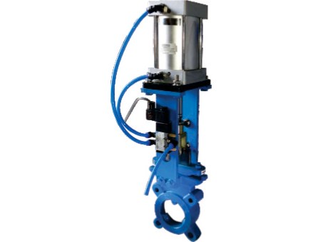 Knife Edge Gate Valve