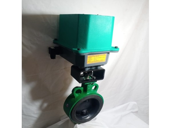 Butterfly Valve